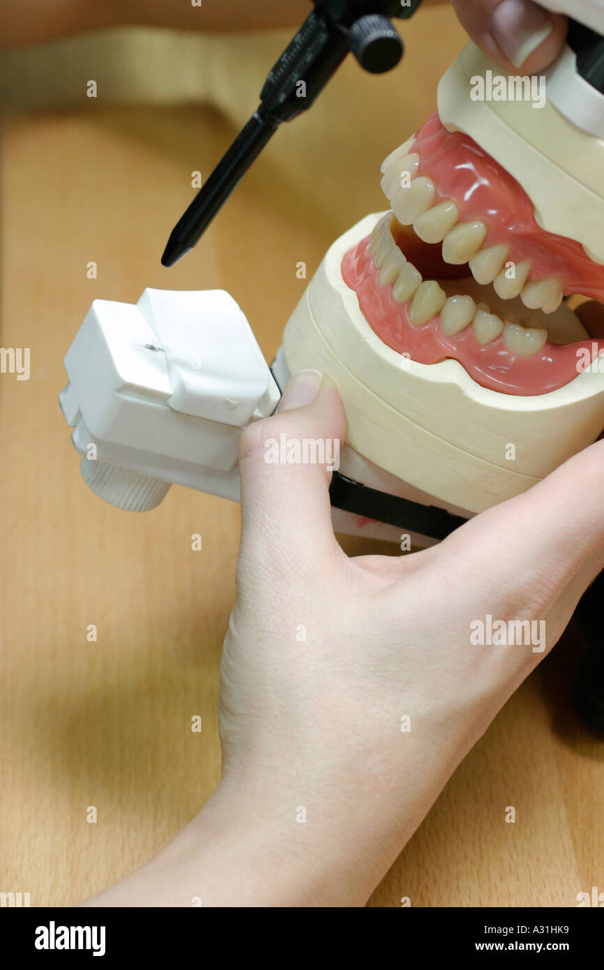 Woman working on dentures in laboratory close up elevated view Stock Photo