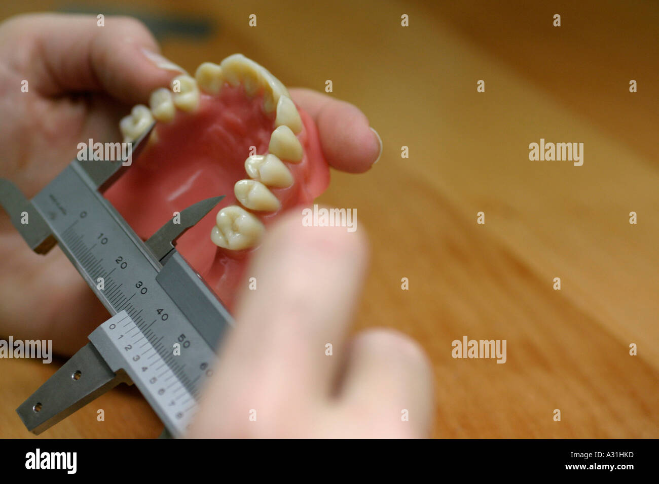 Woman measuring dentures close up elevated view Stock Photo