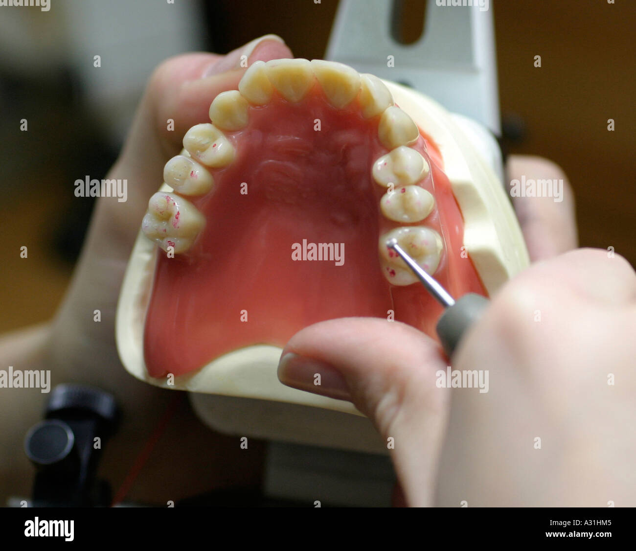 Technician polishing dentures close up elevated view Stock Photo