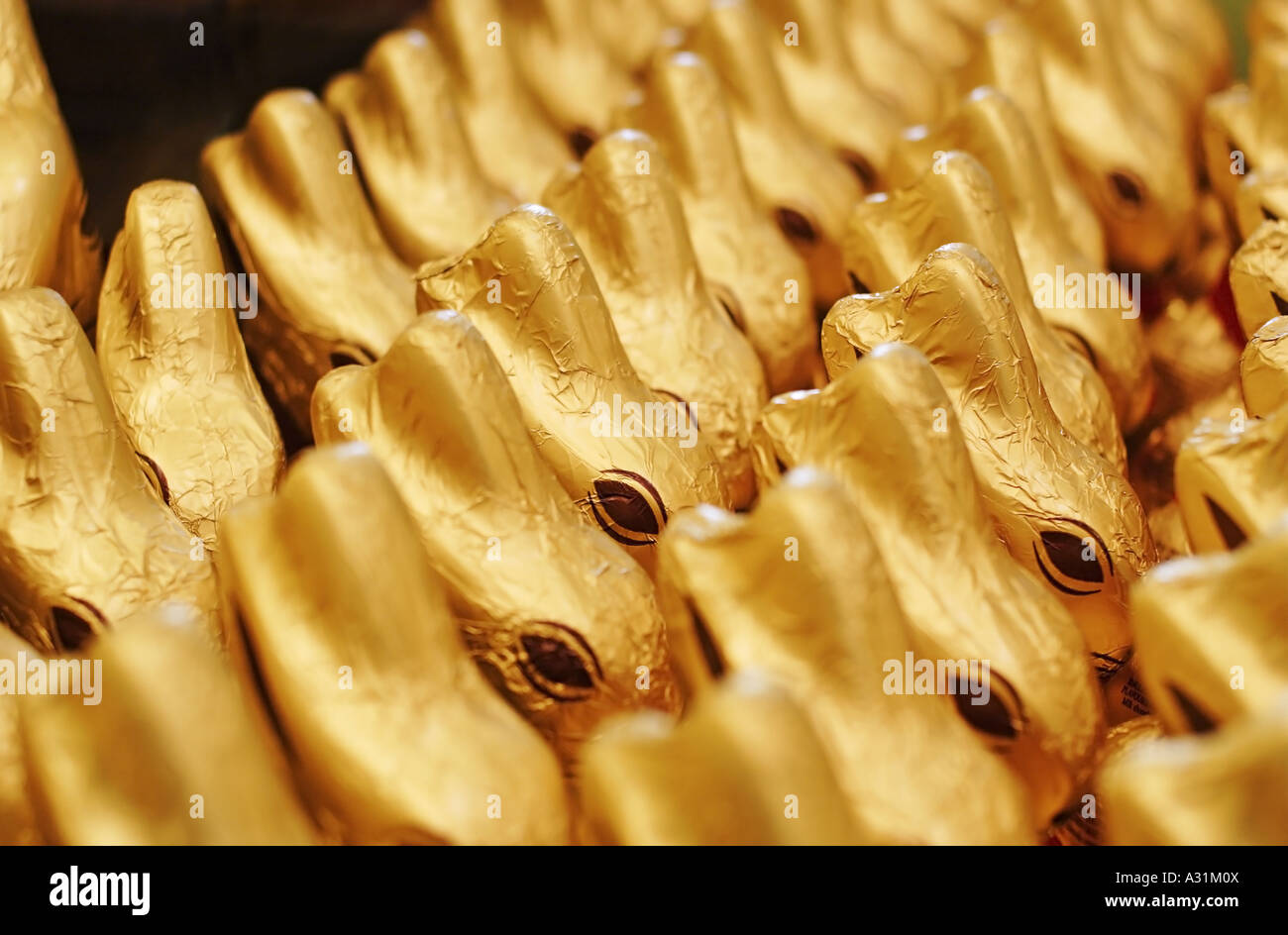 Chocolate Easter bunnies Stock Photo