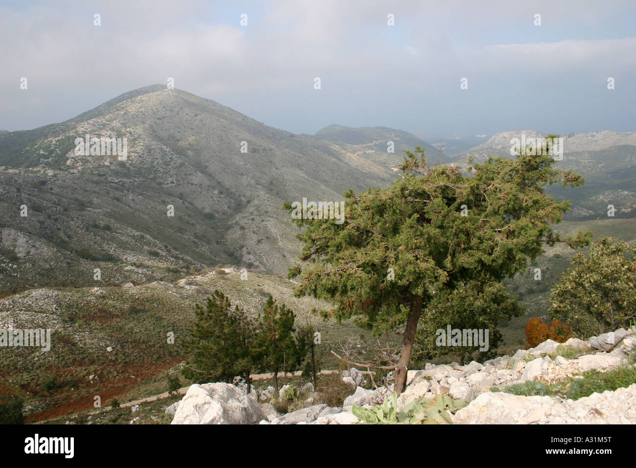 Mountain Landscape, Pantokrator, Corfu, Greece. Stock Photo