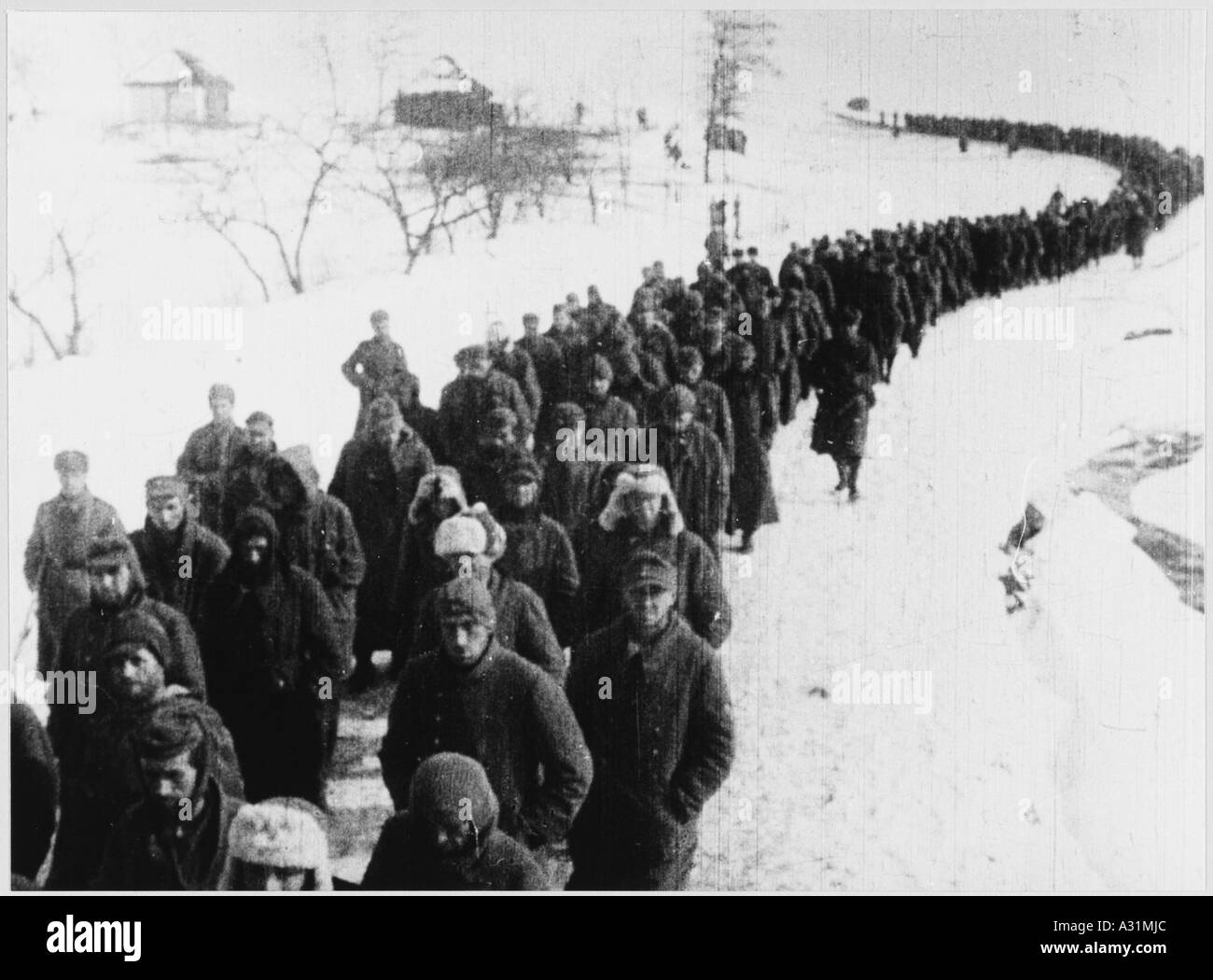 Prisoners  Stalingrad Stock Photo