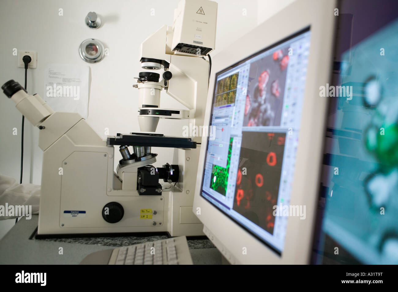 Computer aided microscope in a laboratory Stock Photo