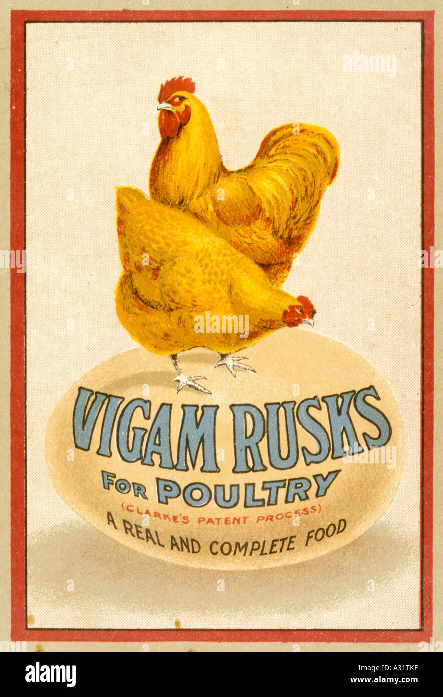 Advert Chicken Feed Stock Photo Alamy