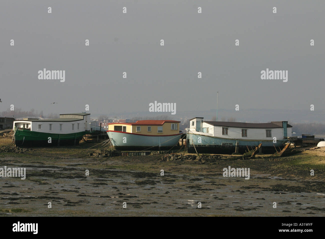 house boats on hayling island Stock Photo Alamy