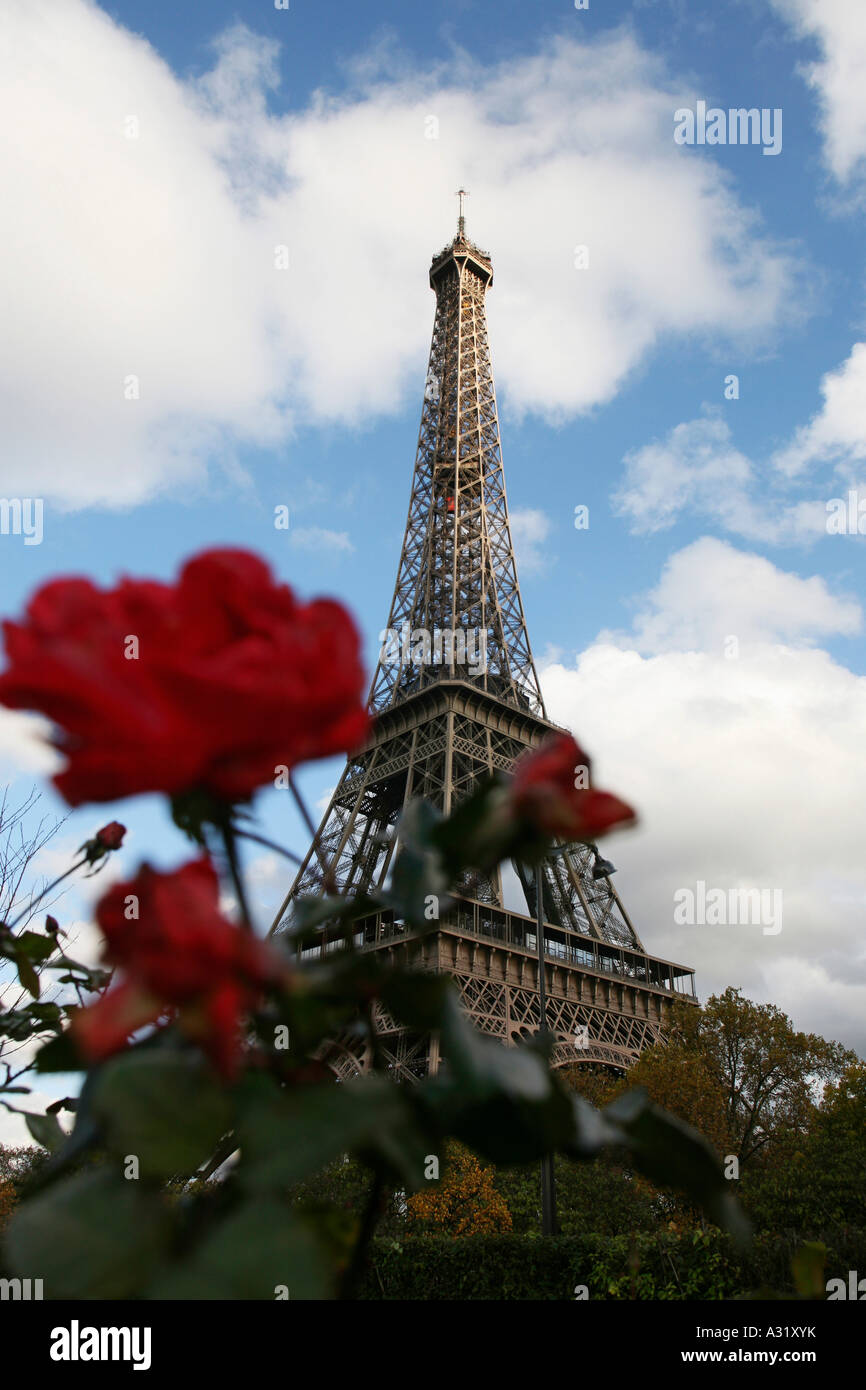 Eiffel Tower, Paris, France, Shiny, Country, Culture, Famous