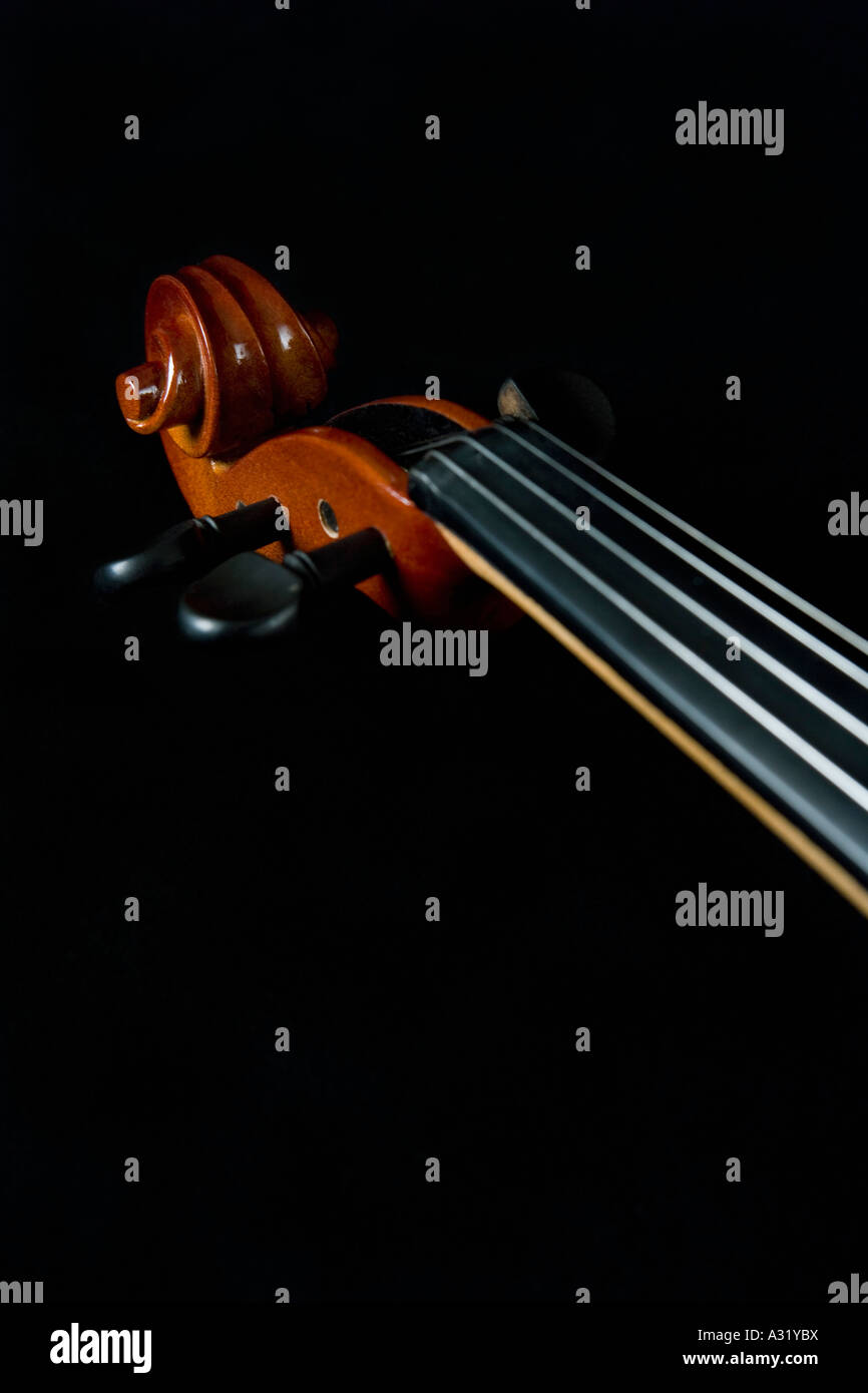 Violin scroll and neck Stock Photo Alamy