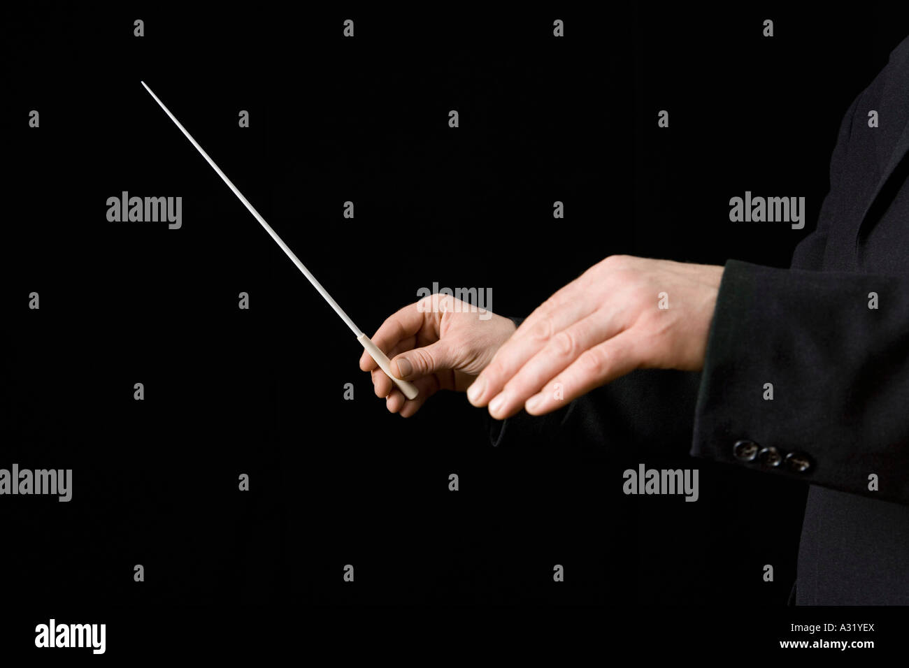 Conductor holding a baton Stock Photo Alamy
