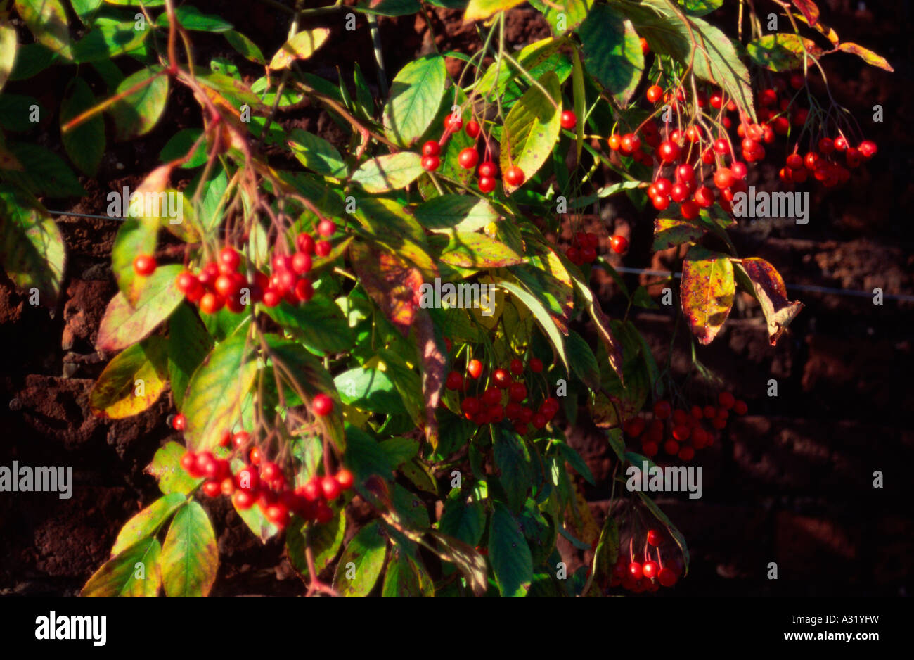 Penny Lane London High Resolution Stock Photography and Images - Alamy