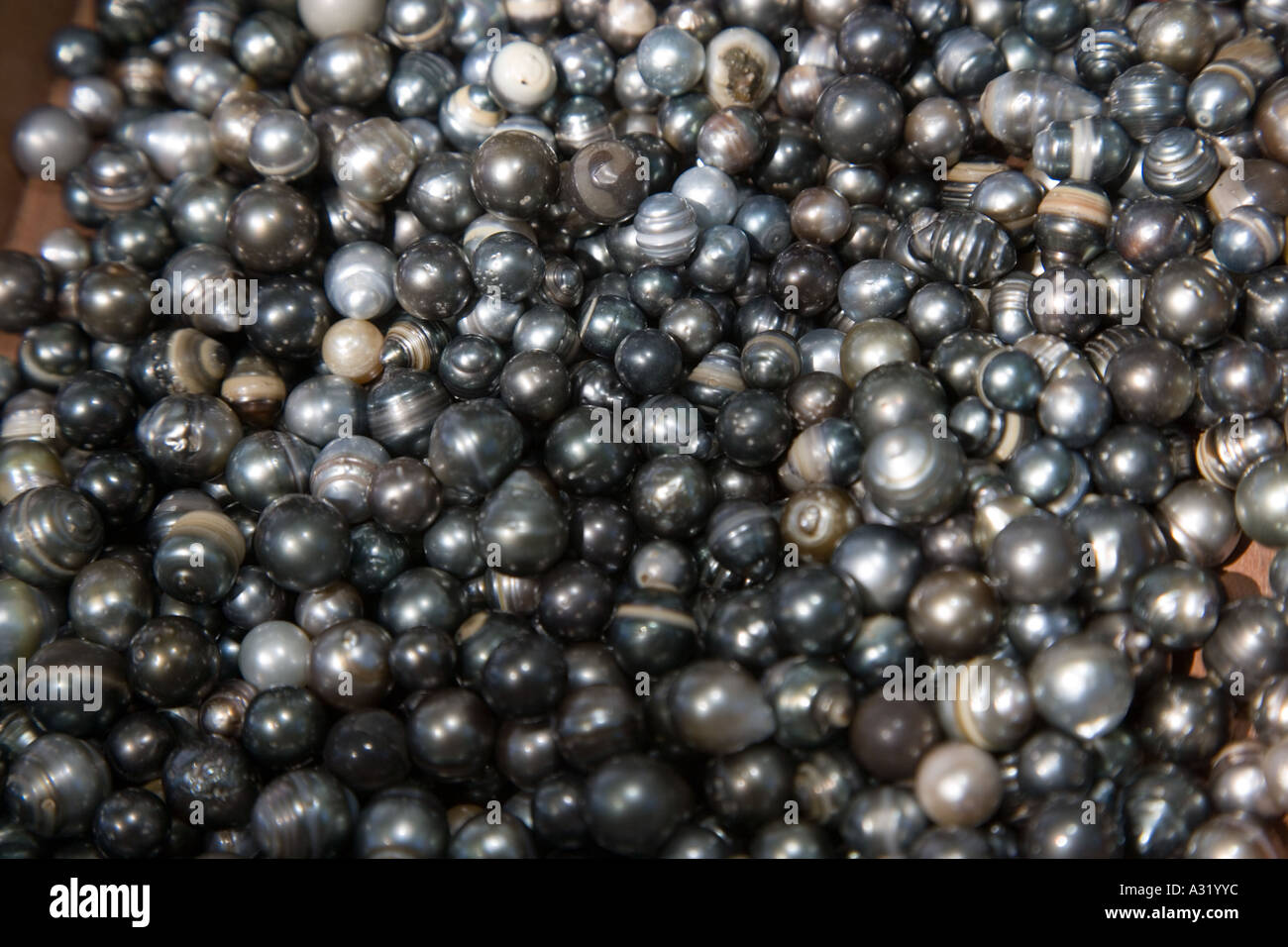 Black Pearls Stock Photo