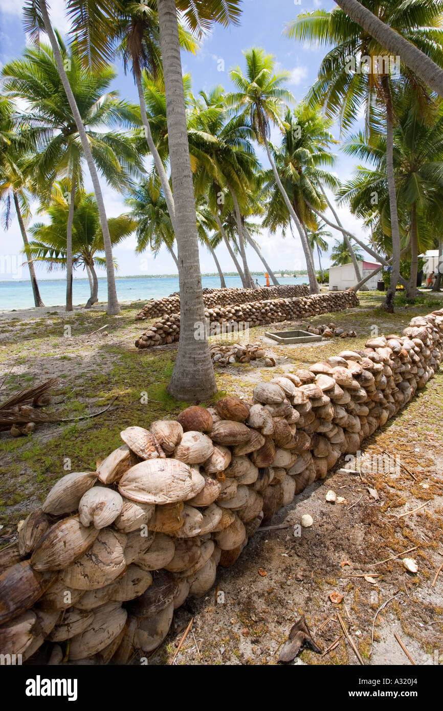 Copra plantation Takapoto Tuamotu Islands French Polynesia Stock Photo -  Alamy