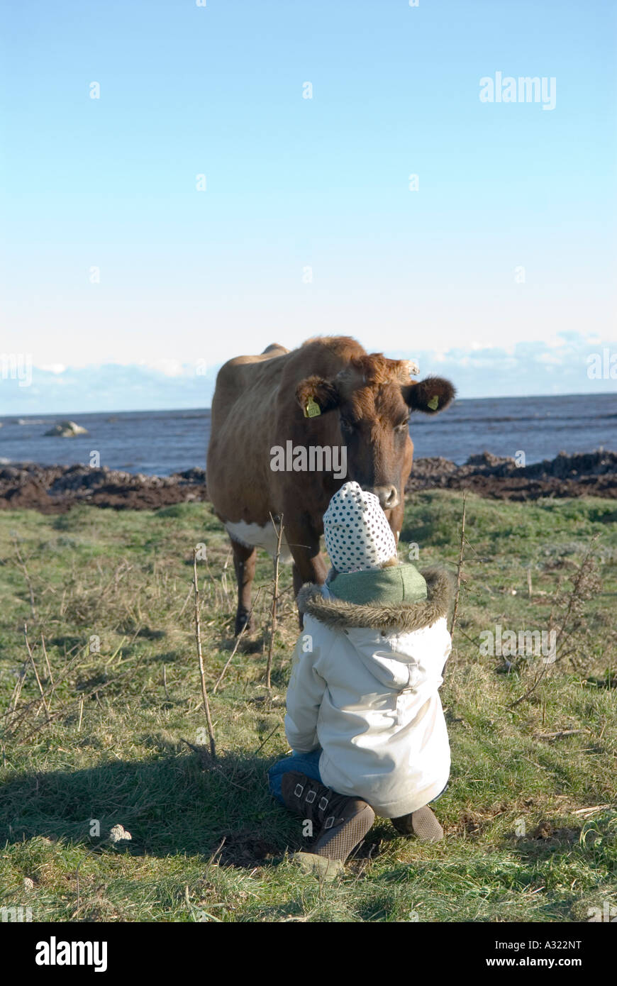 Girl with cow at the Baltic sea Stock Photo - Alamy