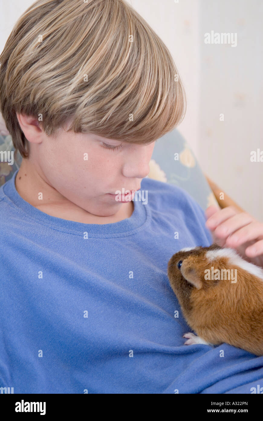 Boy with pet Stock Photo - Alamy