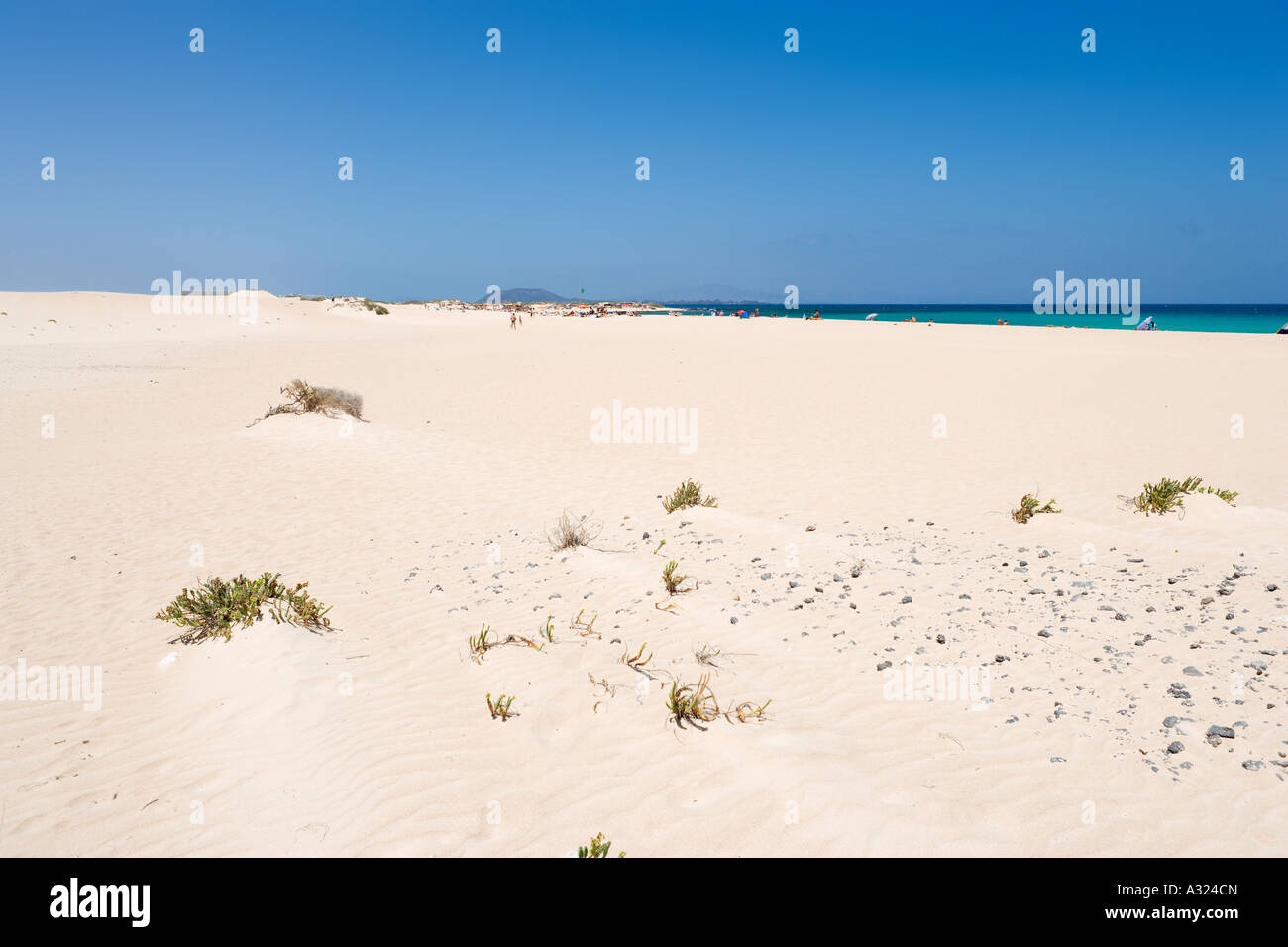 Beach And Sand Dunes Parque Natural De Las Dunas De Corralejo Fuerteventura Canary Islands 9907