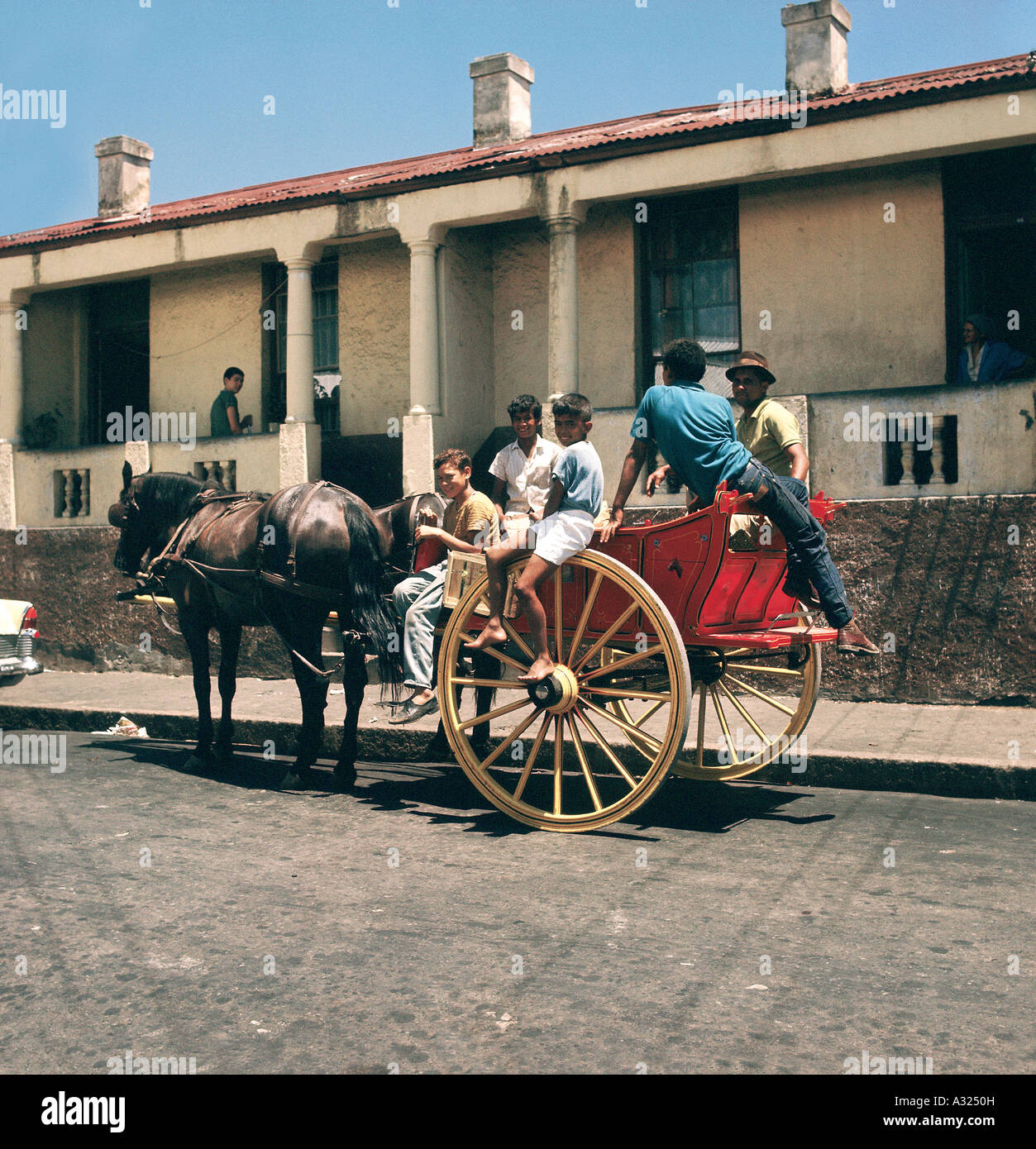 Children on Donkey Cart, District Six, Cape Town, South Africa (1970's) Stock Photo