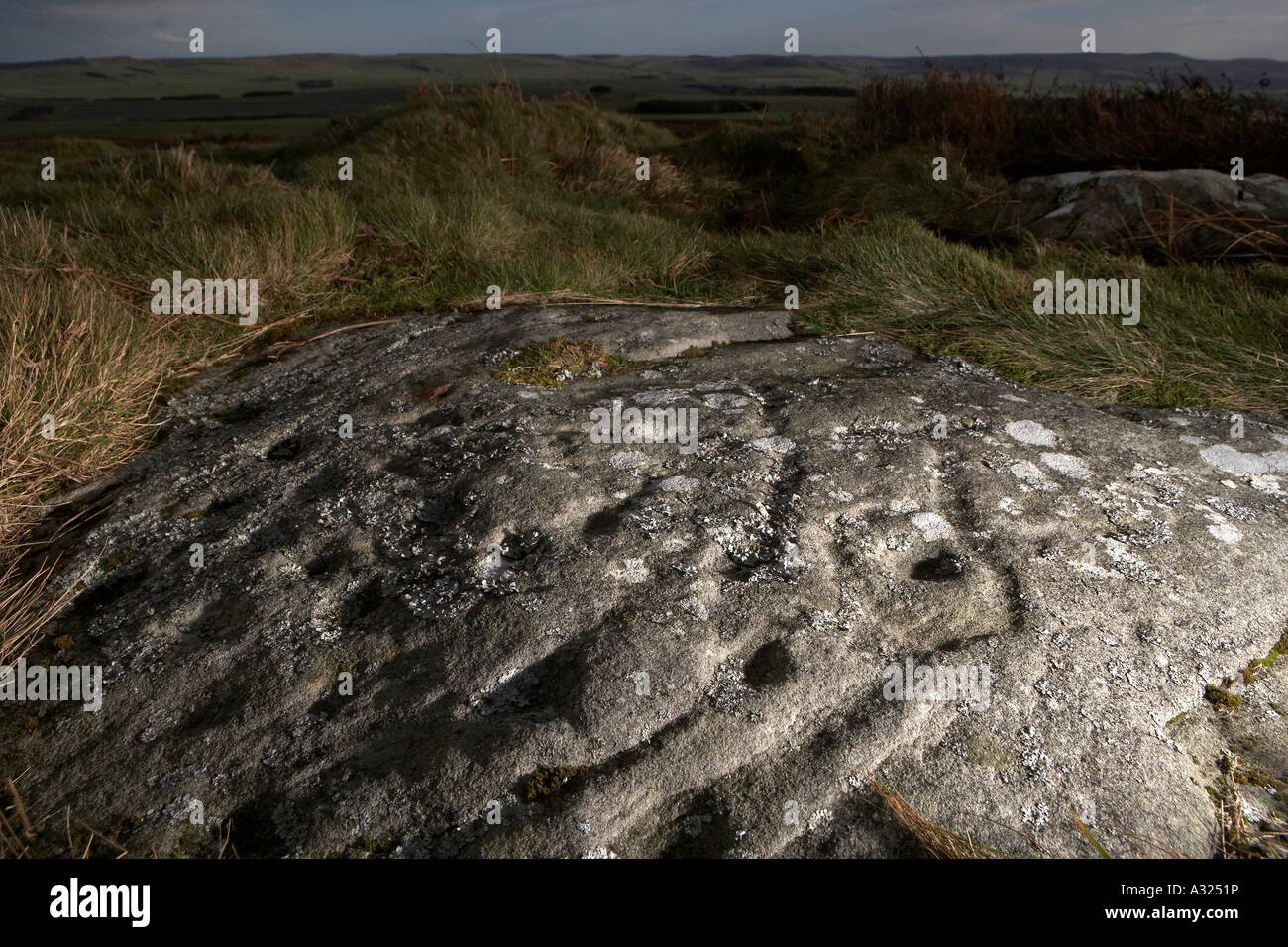 Cup and ring marked rocks Prehistoric rock art Doddington Moor near Wooler Stock Photo
