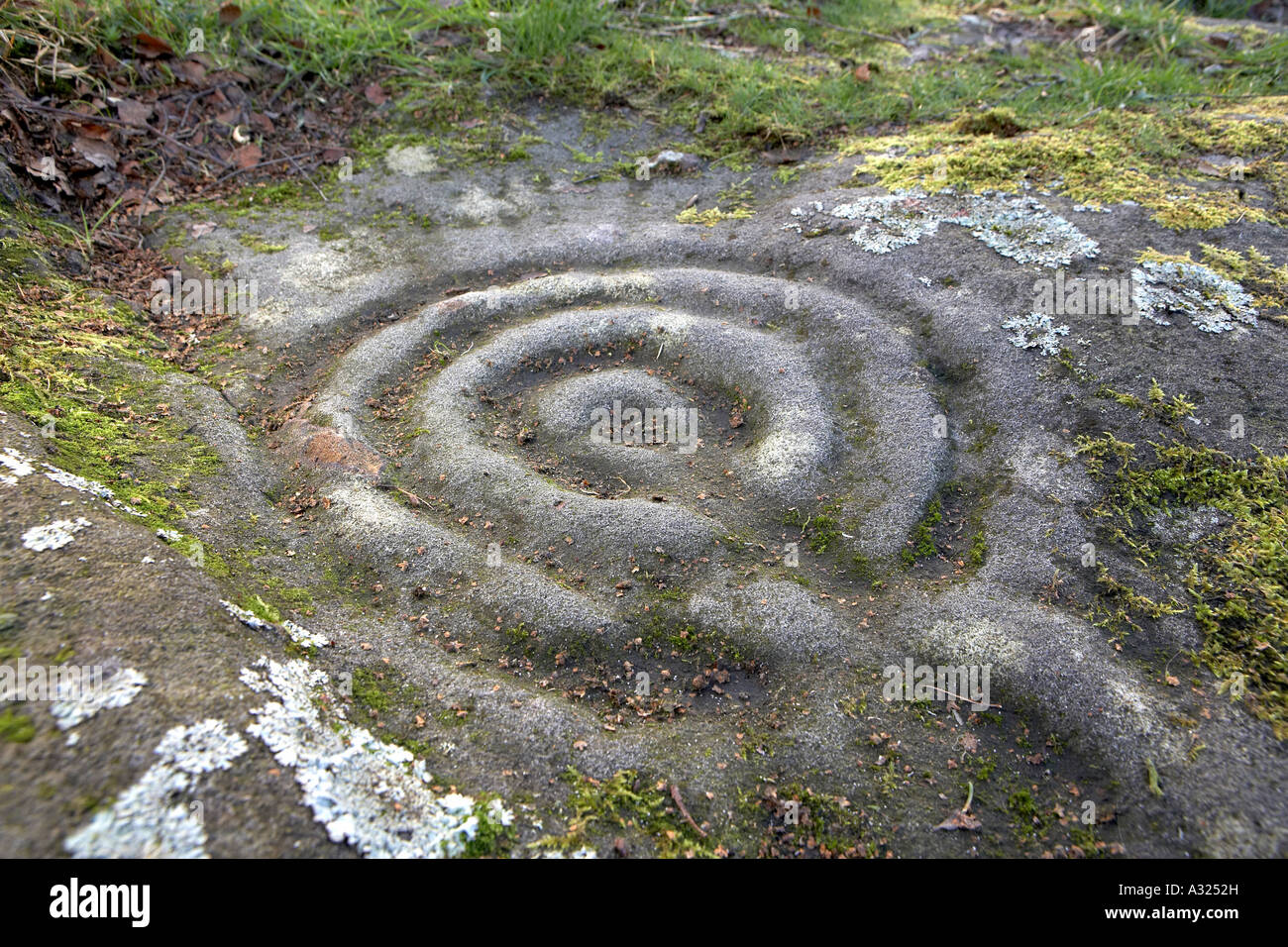 Cup and ring marks Prehistoric rock art Routin Roughting Roughtling Lynn  Stock Photo - Alamy