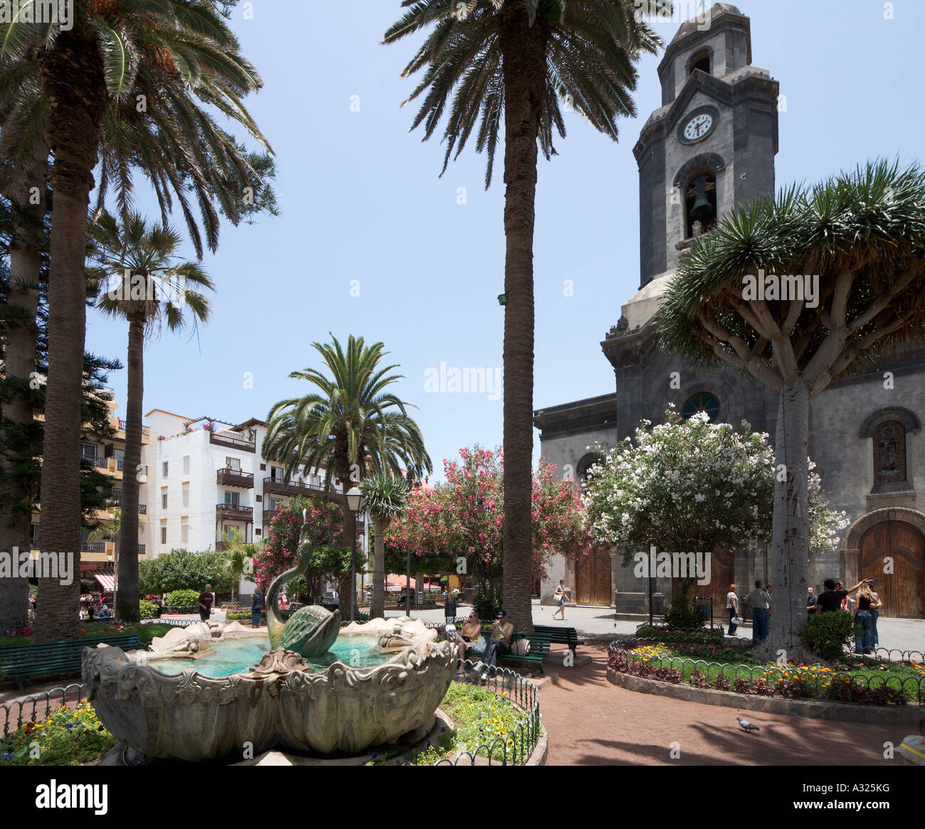 Plaza de la Iglesia, Puerto de la Cruz, Tenerife, Canary Islands, Spain Stock Photo