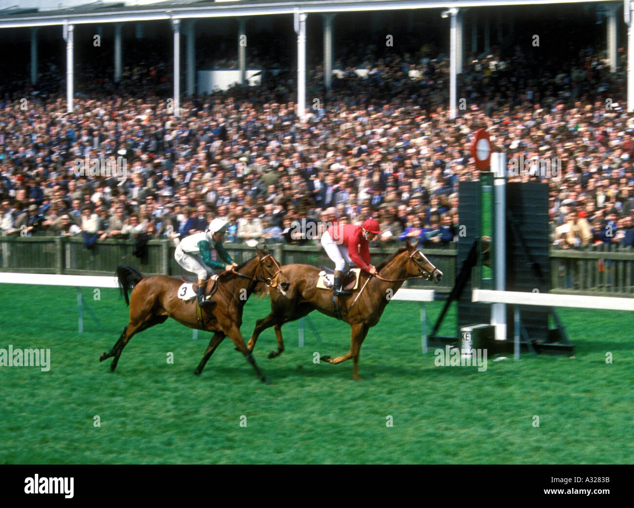 Vintage late 1970s UK Newmarket Racecourse Winner coming up to the finish line Stock Photo