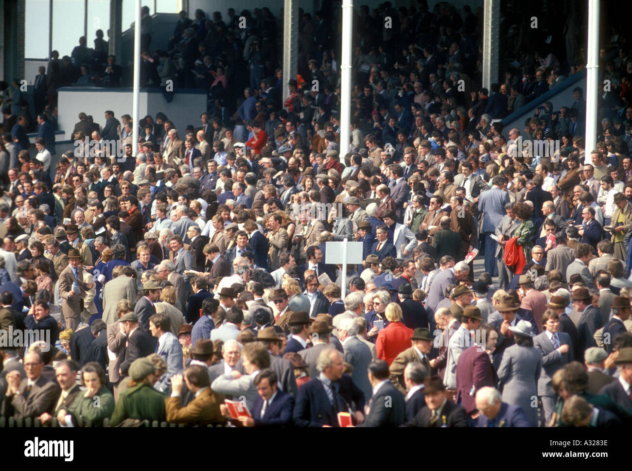 Vintage late 1970s UK Newmarket Racecourse Crowd before a race  Stock Photo