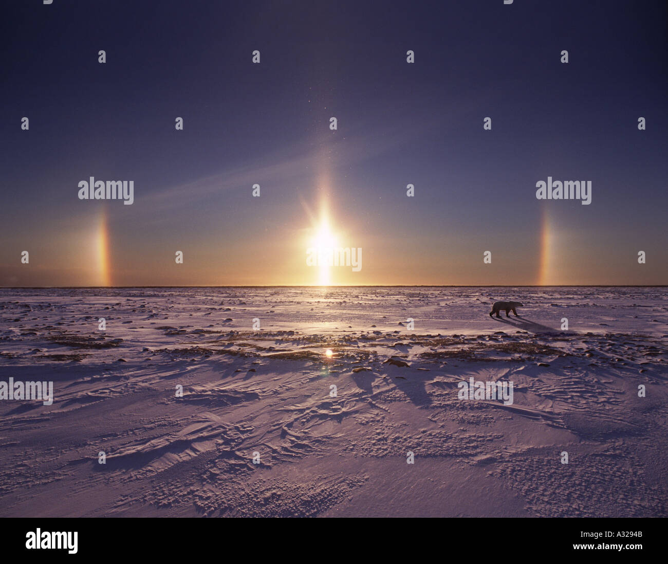 Sunrise showing parhelia effect Manitoba Canada Stock Photo