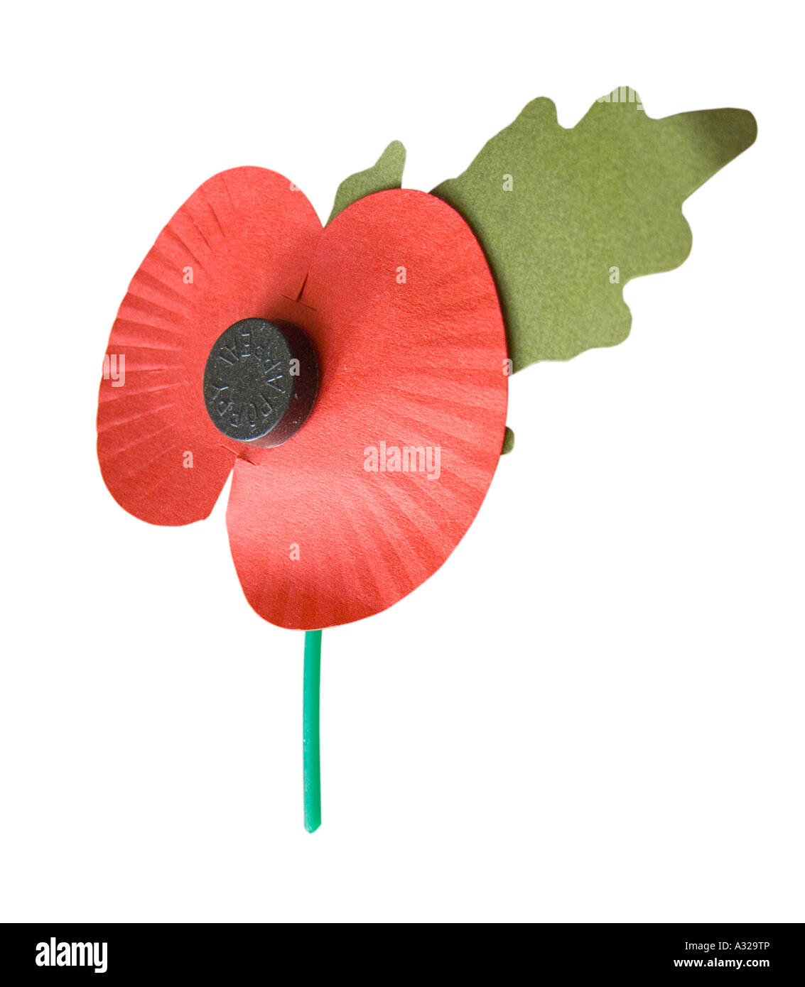 Poppy Appeal remembrance sunday remember world war 1 one 11 11 o clock veteran red charity Stock Photo