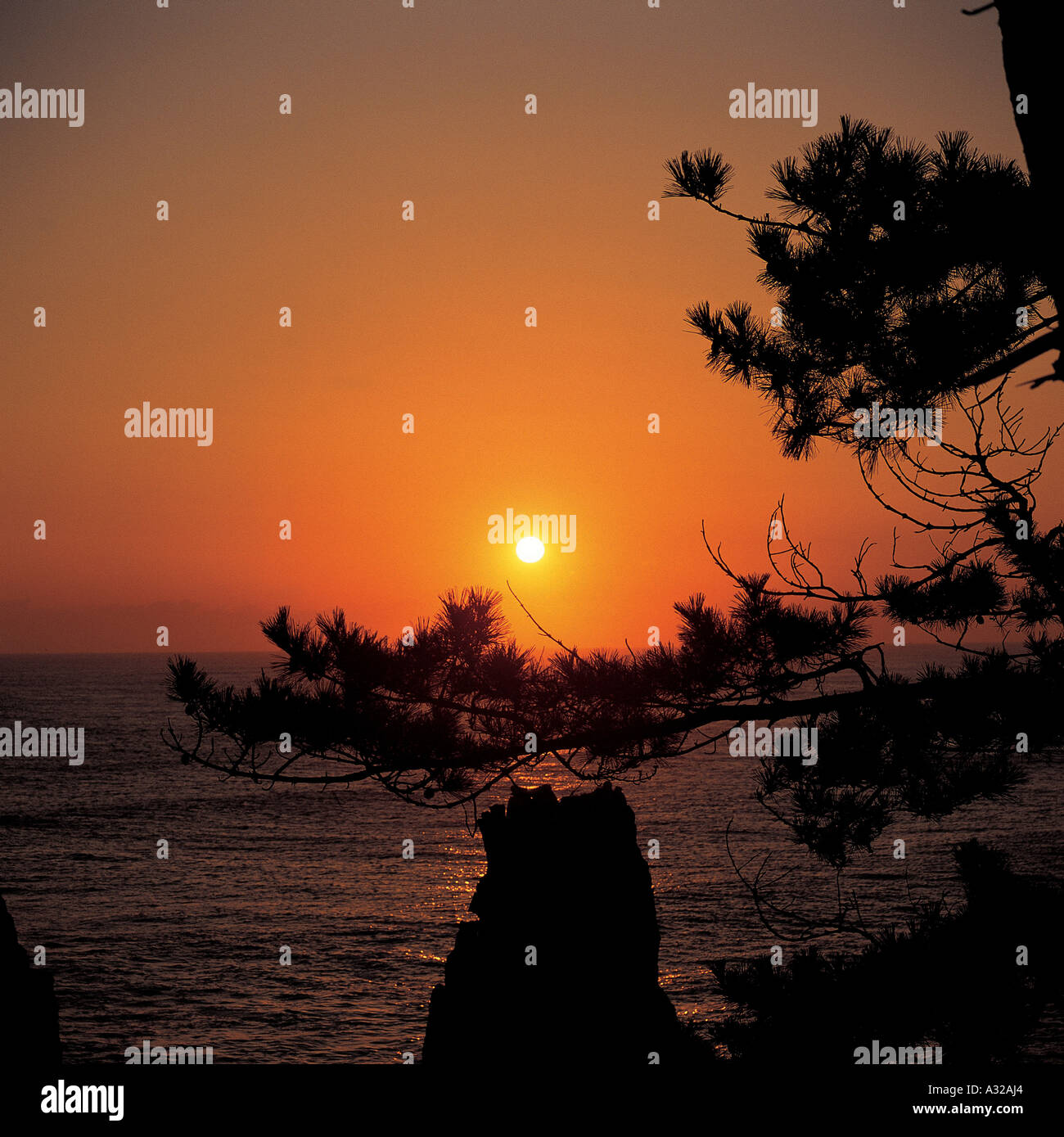 Pck0250 hi-res stock photography and images - Alamy