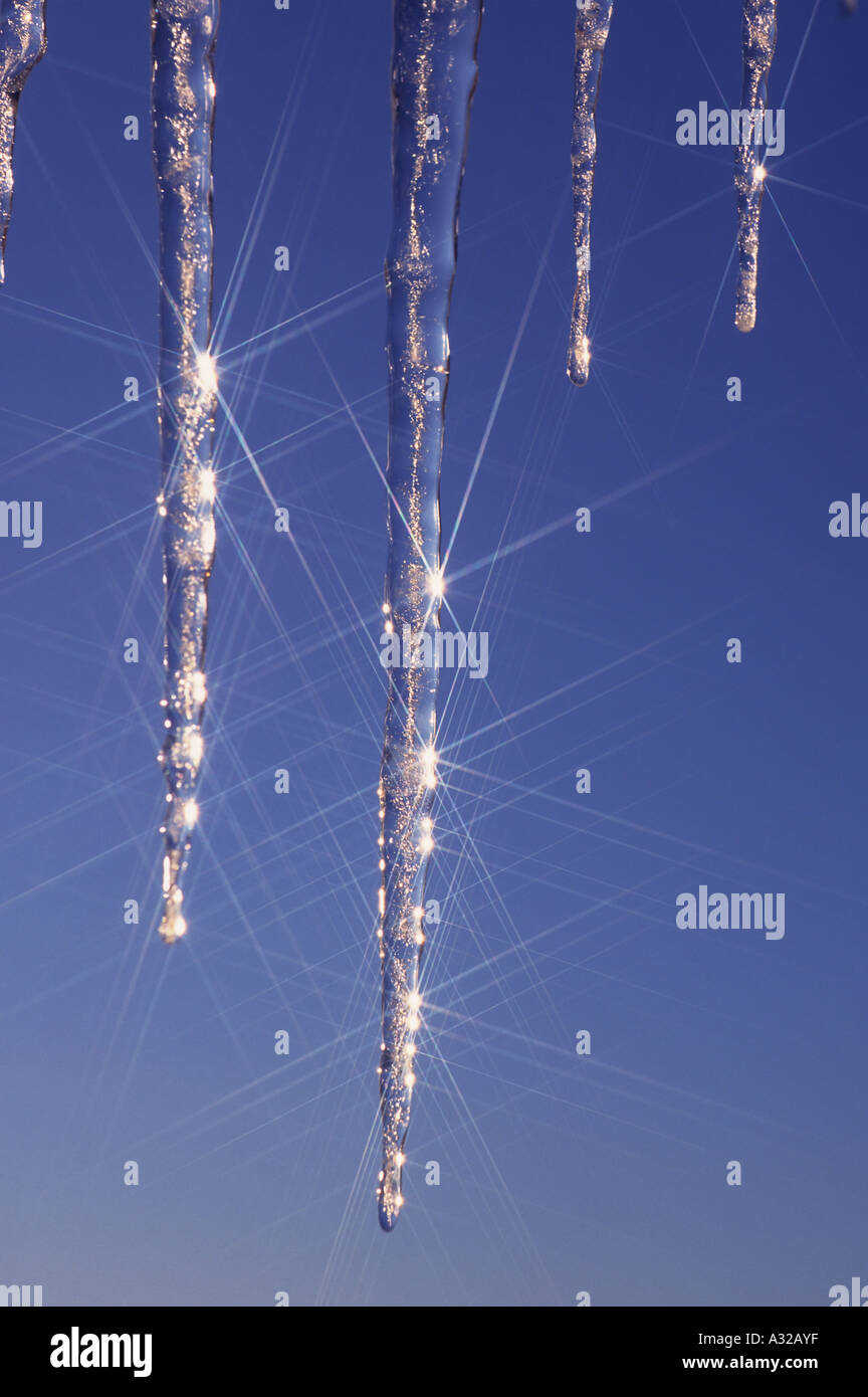 Star reflections on icicles Smithers British Columbia Stock Photo
