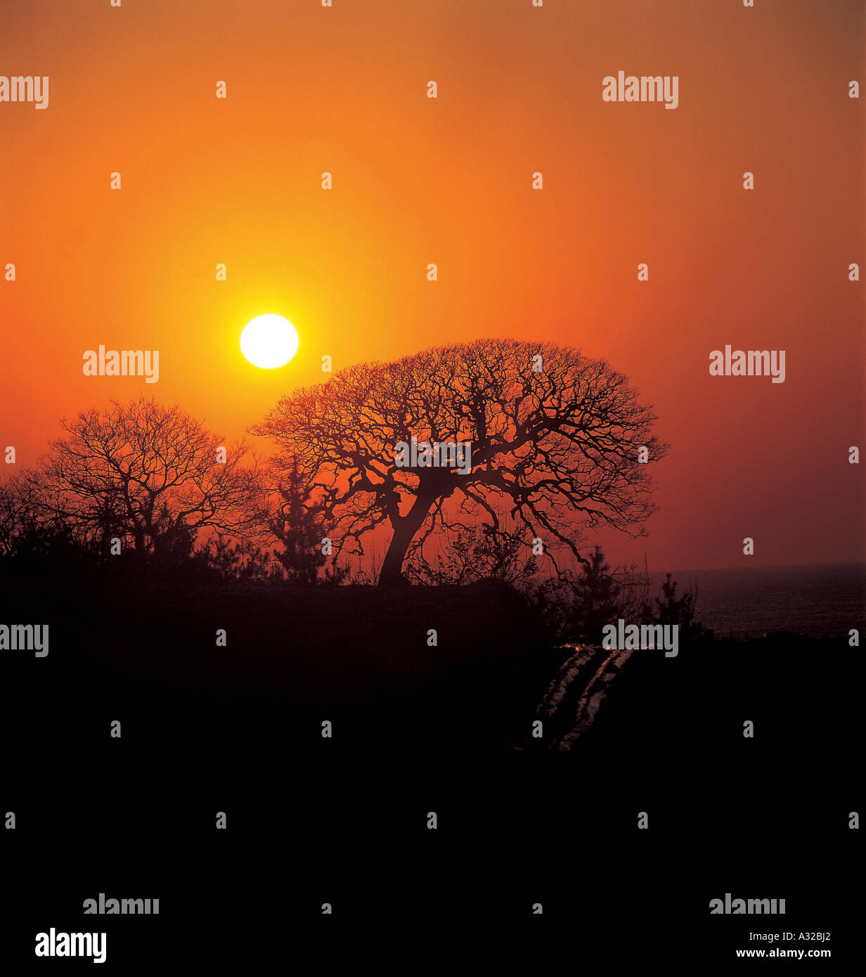 Pck02075 hi-res stock photography and images - Alamy