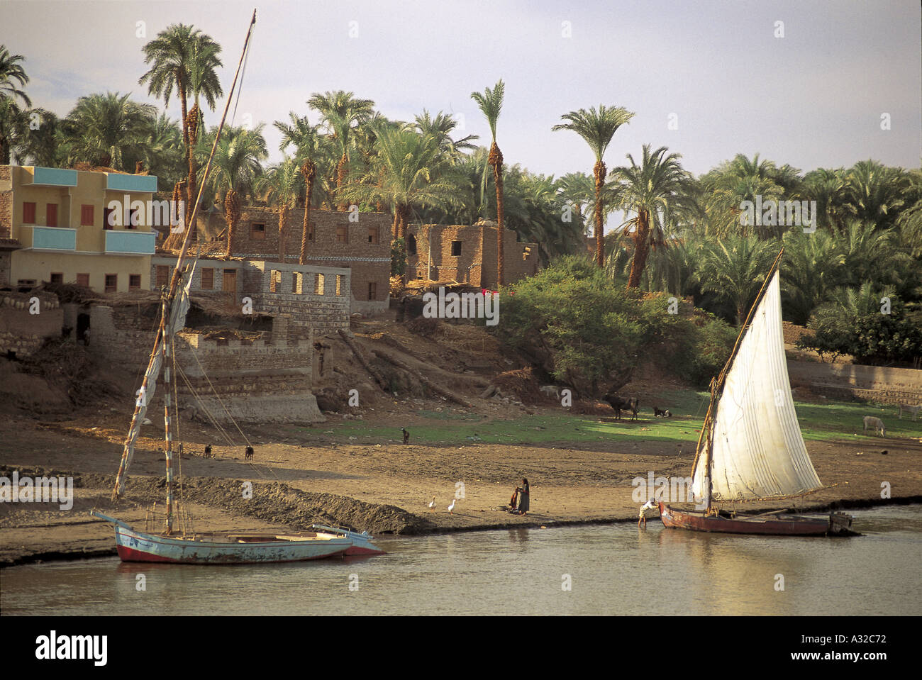 Rural egyptian village hi-res stock photography and images - Alamy