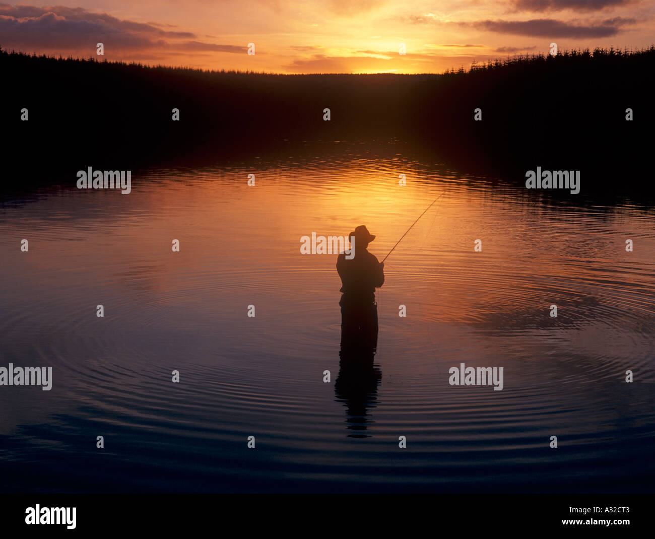 One man fly fishing for trout in sunset Llyn Brenig Reservoir Conwy