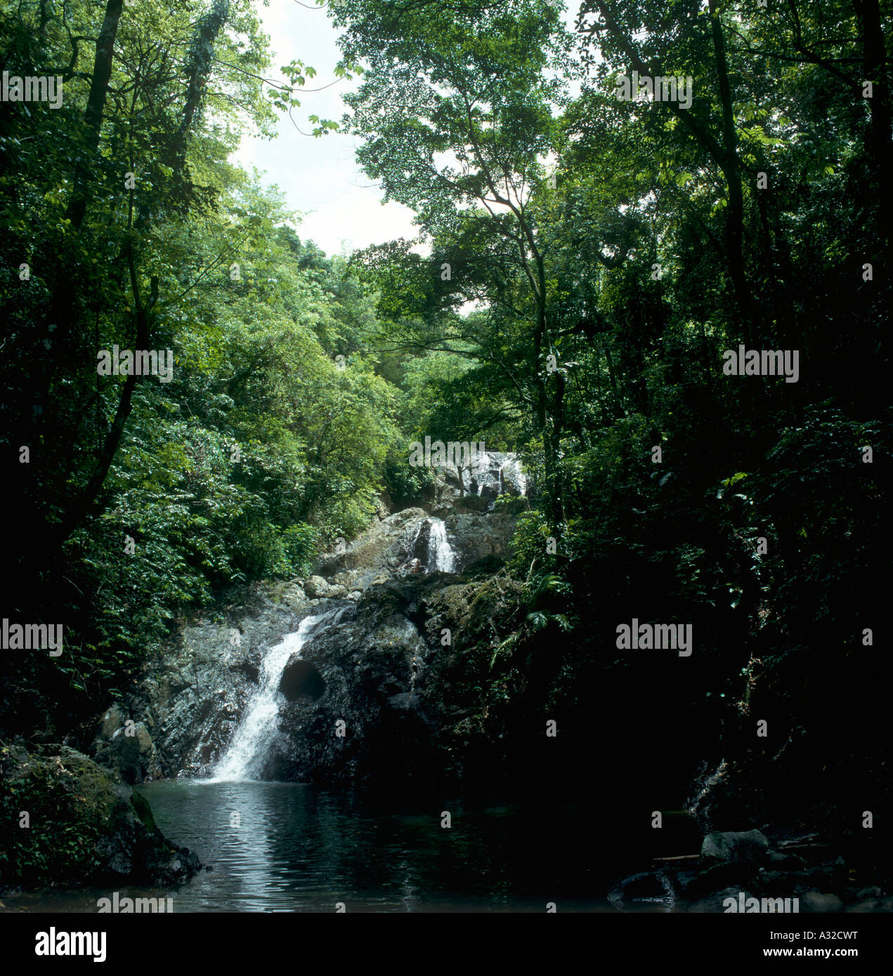 argyle-falls-near-scarborough-tobago-trinidad-and-tobago-west-indies