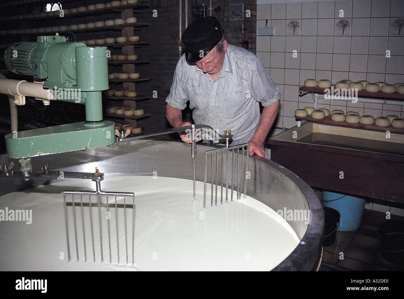 Cheese Farm Edam Stock Photo - Alamy