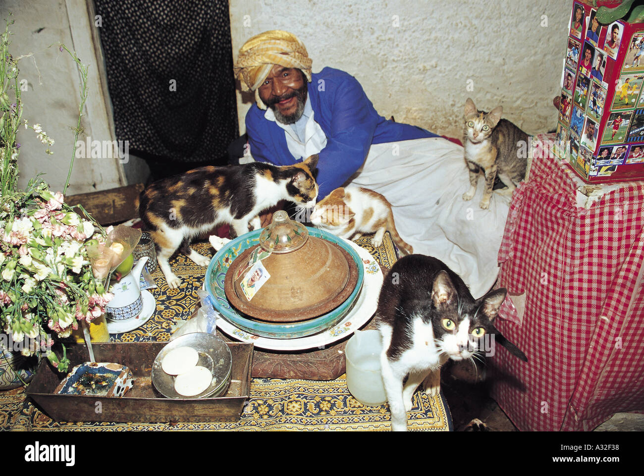 Toilet attendant with cats in Fez, Morocco Stock Photo