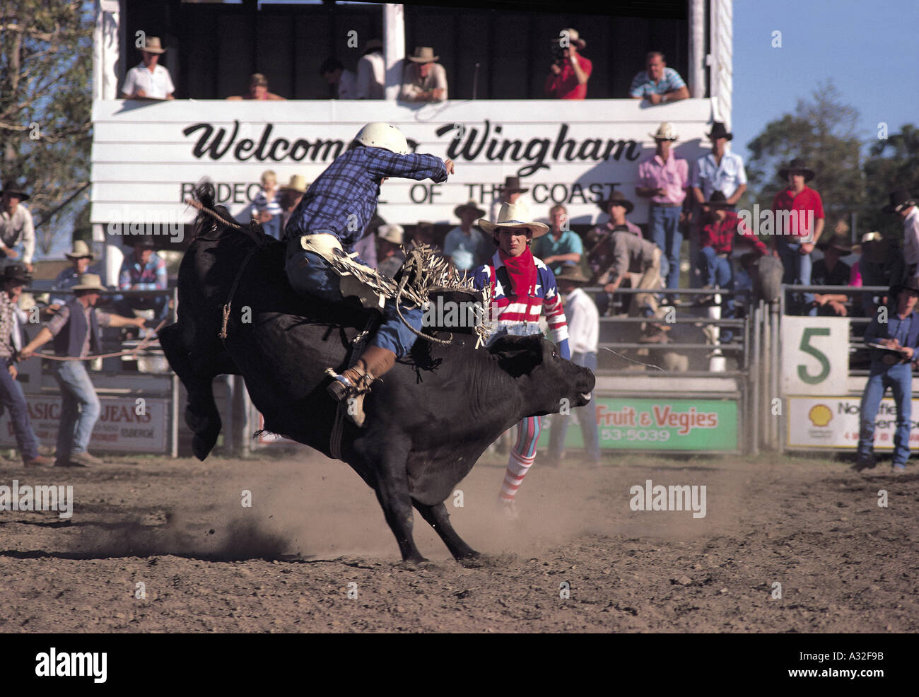 Bull riding at a NSW rodeo Stock Photo