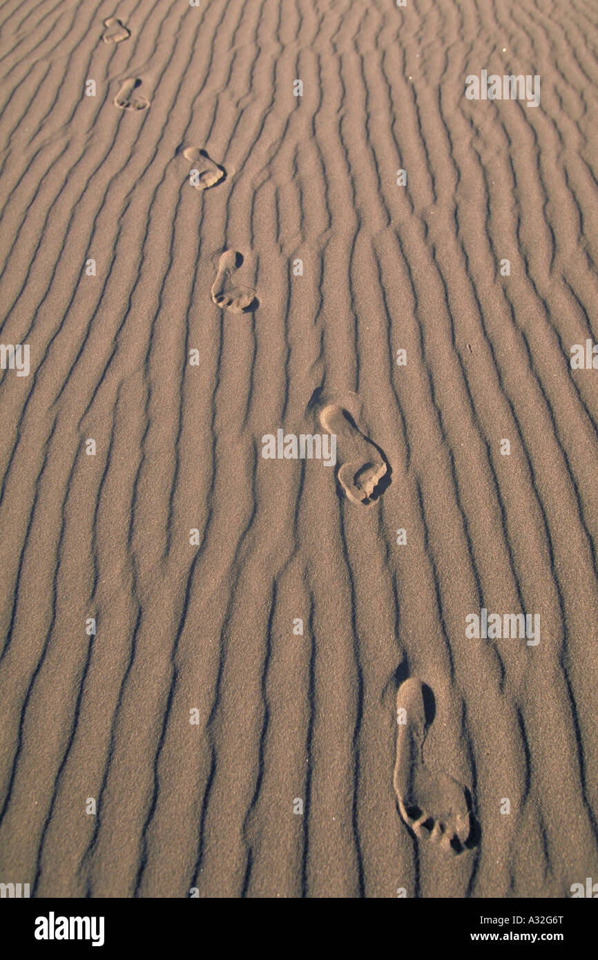 Elk267 4414 Colorado Great Sand Dunes NP dunes landscape with footprints Stock Photo
