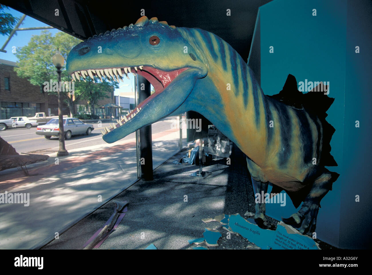 Elk267 4852 Colorado Grand Junction Main Street Dinosaur Valley Museum Stock Photo Alamy