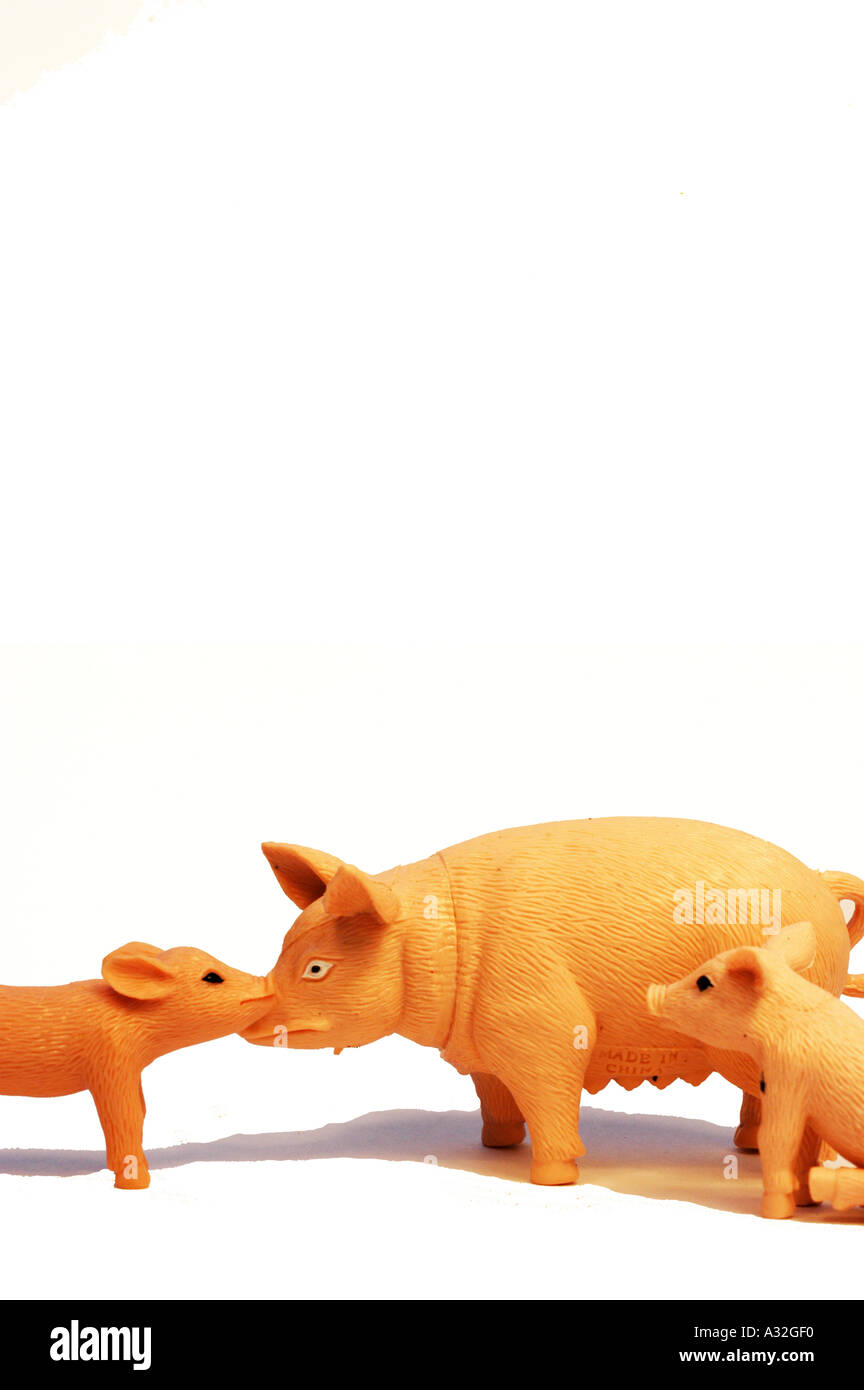 Mother and Piglet Stock Photo