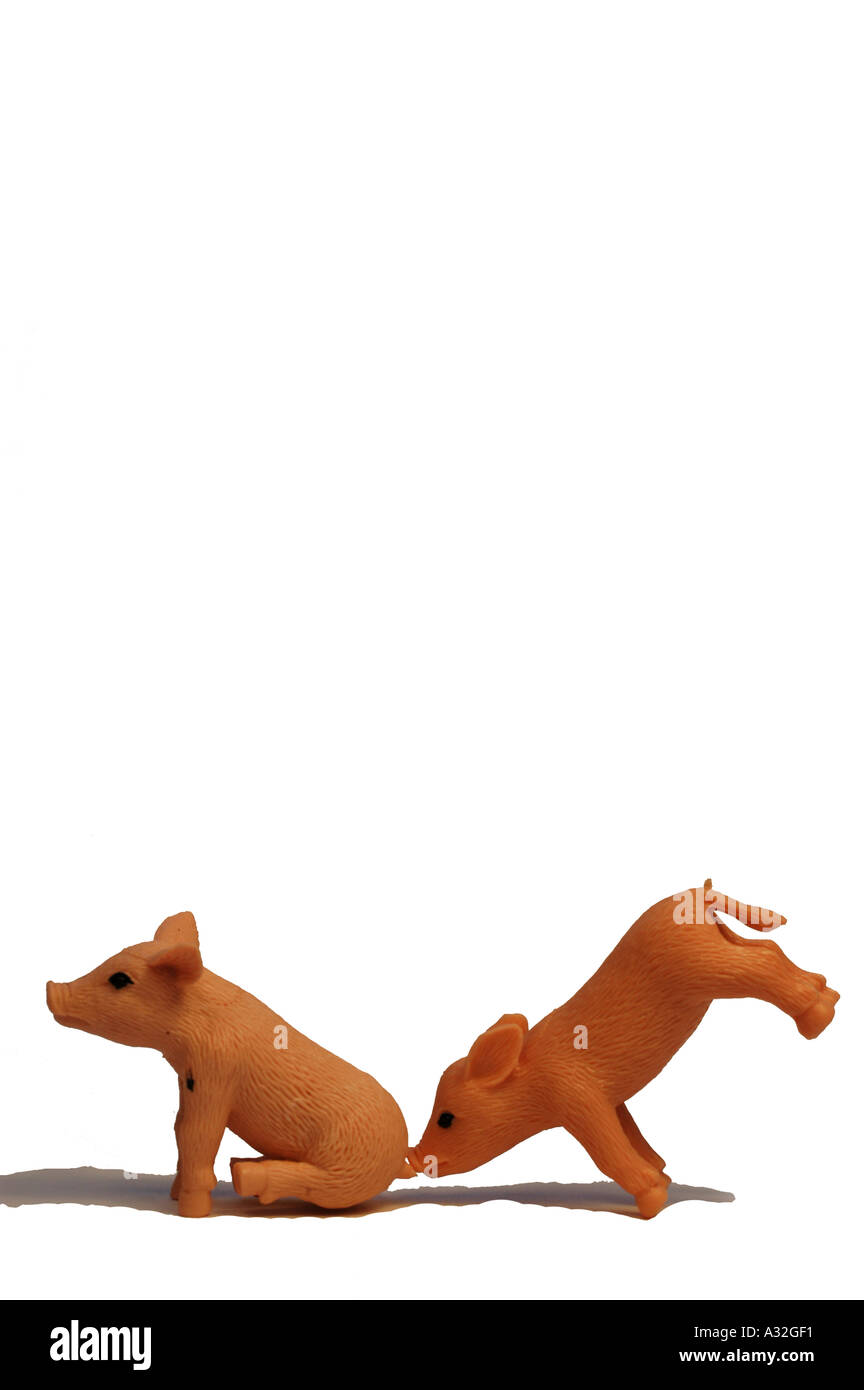 Plastic Piglets on a white background Stock Photo