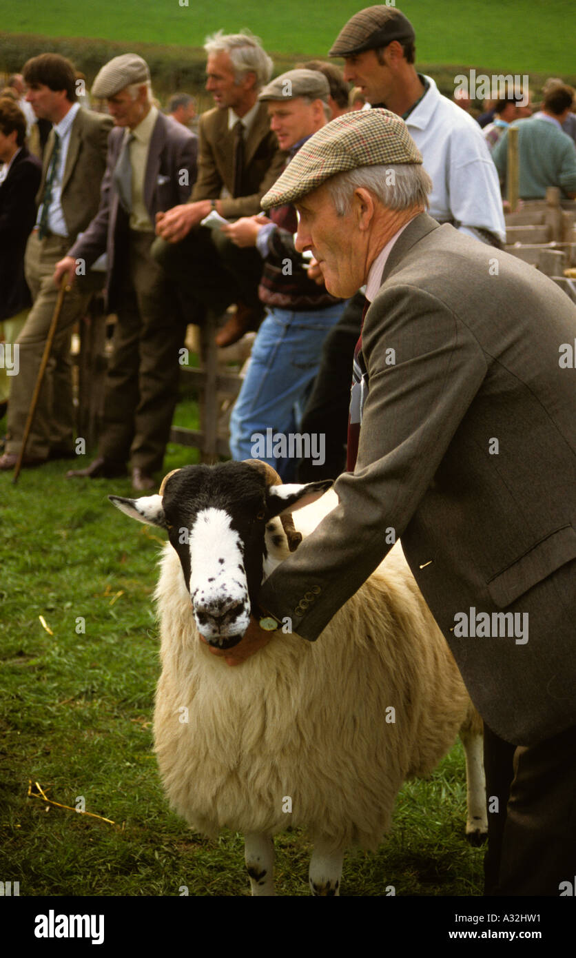 Farmer showing sheep at Westmorland Show Kendal Cumbria England UK United Kingdom GB Great Britain Stock Photo