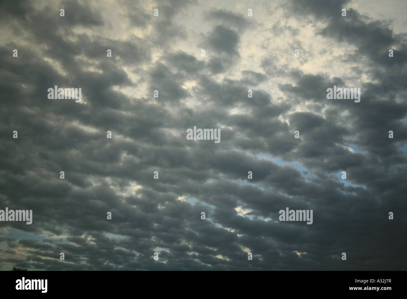 Sky with rows of dark altostratus clouds, Holland Stock Photo