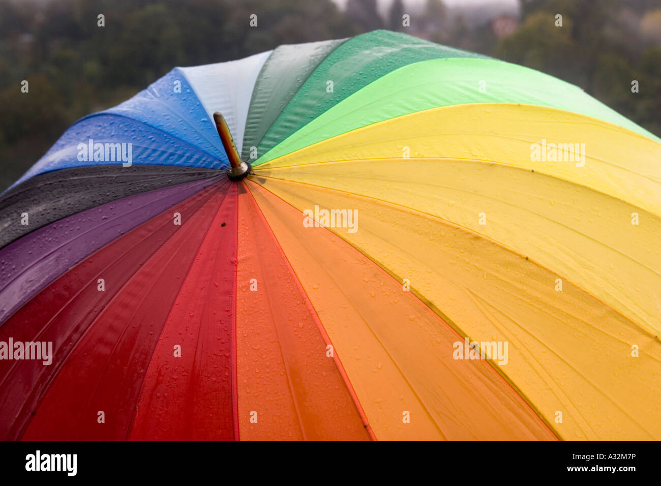 Bright multicoloured umbrella in the rain Stock Photo Alamy