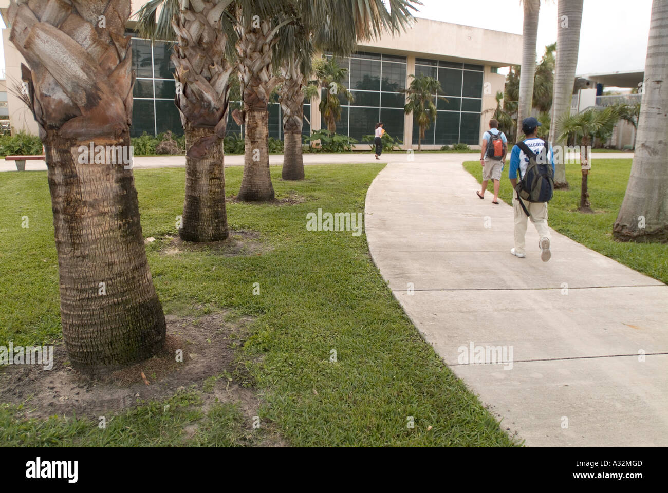 College University students learning education studying campus Stock Photo