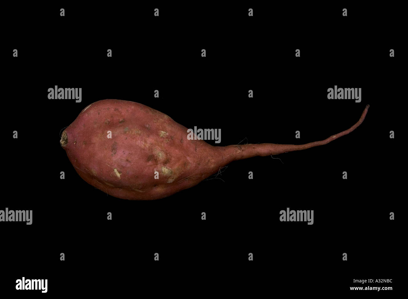 vegetables uncooked uncut sweet potato Stock Photo Alamy