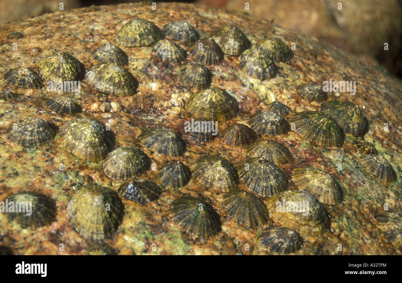 Rising Falling Tide Hi res Stock Photography And Images Alamy rising-falling-tide-hi-res-stock-photography-and-images-alamy