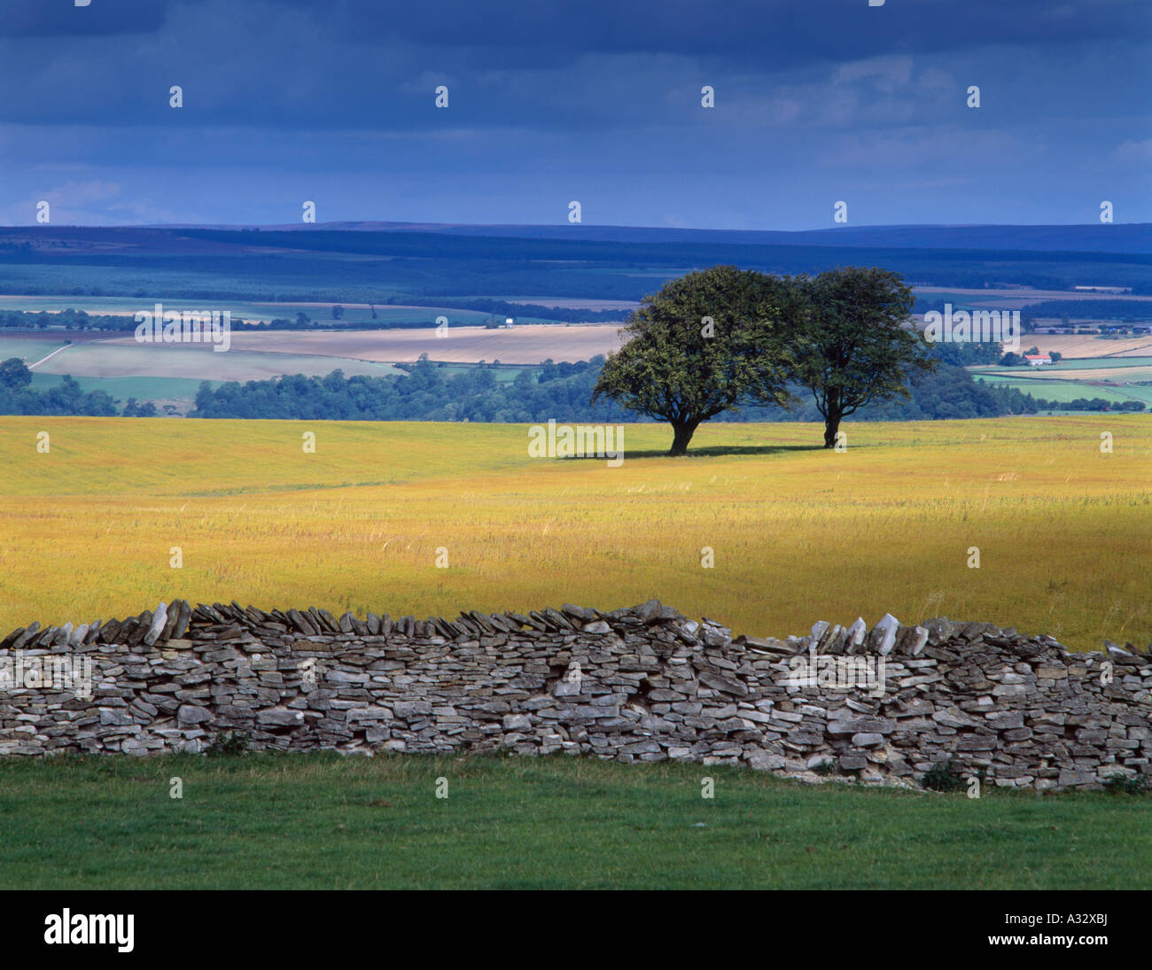 hambleton hills, yorkshire, england Stock Photo Alamy