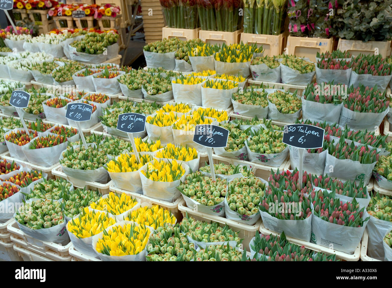 Tulips for sale in Amsterdam, Netherlands. Stock Photo
