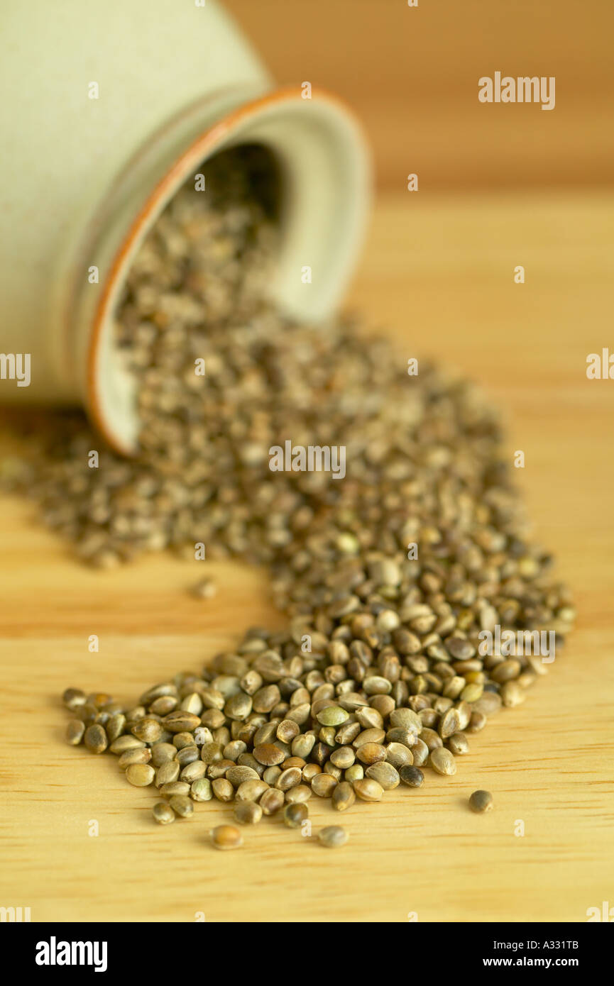 Hemp seeds hires stock photography and images Alamy