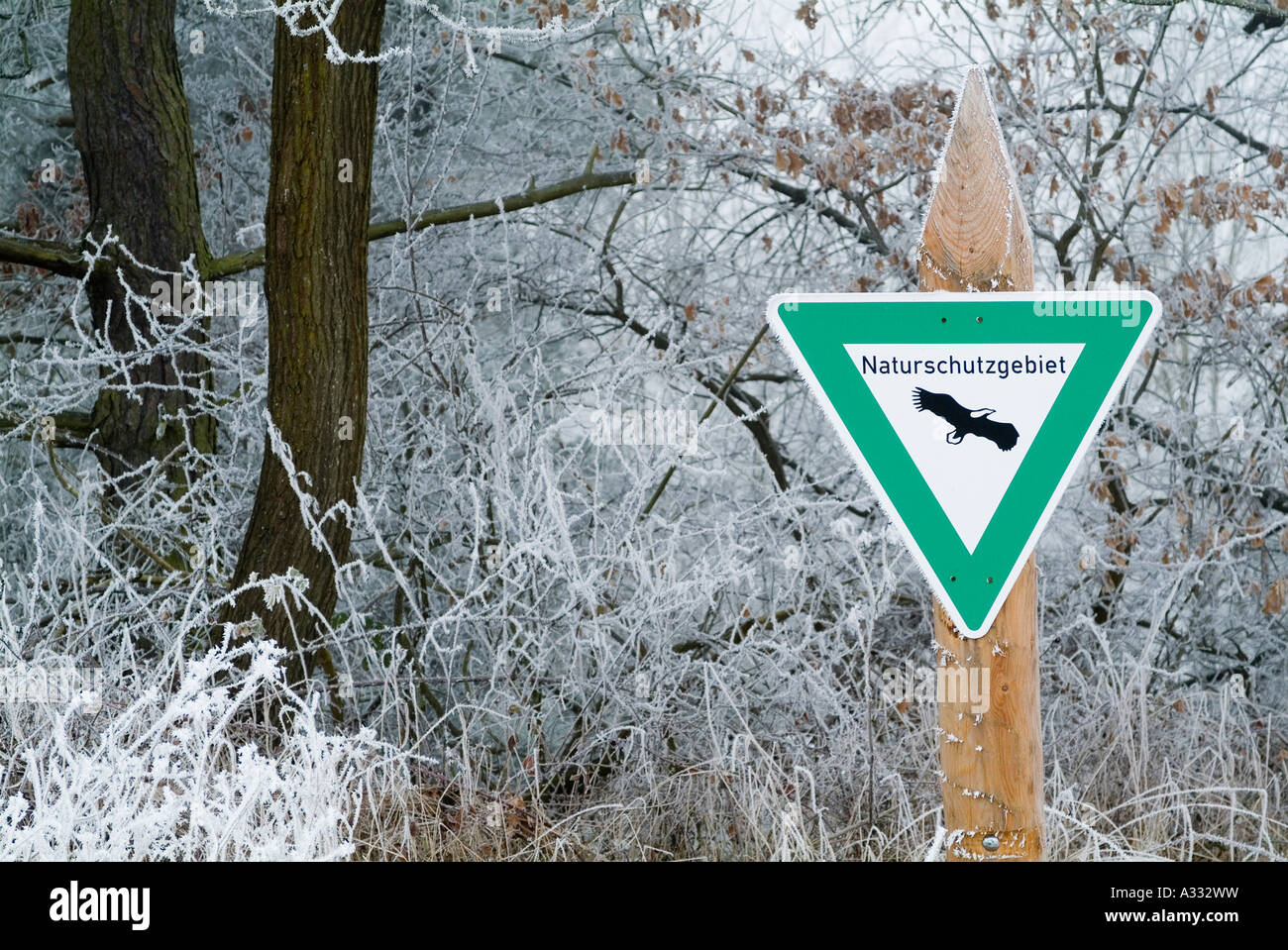 deciduous forest with hoarfrost sign for nature protection area nature reserve Stock Photo