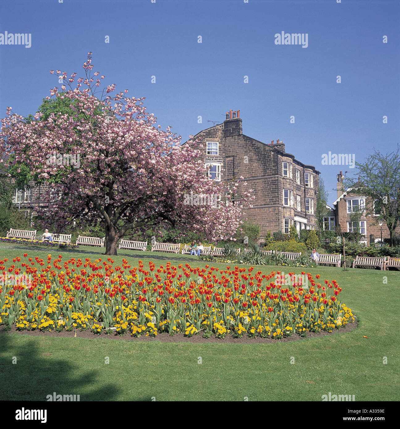 Prospect gardens hires stock photography and images Alamy